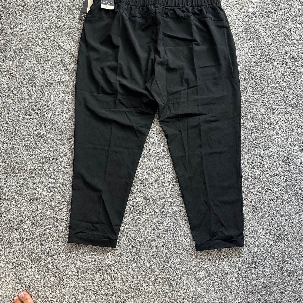 Calia Journey Pants